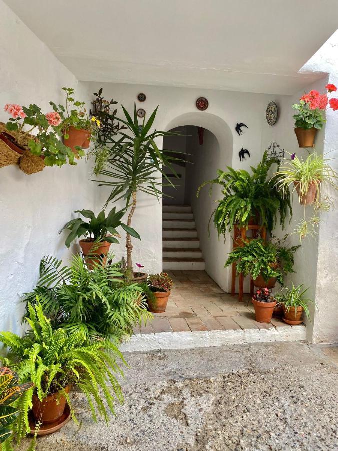 דירות קורדובה Amal Casa De Huespedes מראה חיצוני תמונה