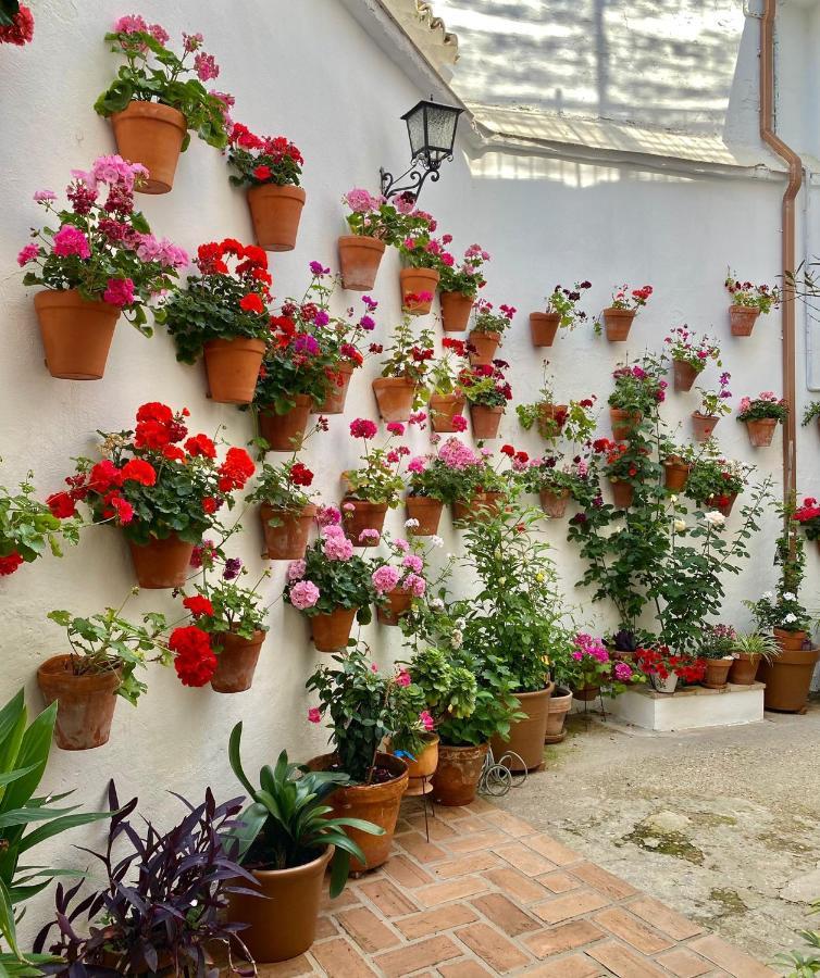 דירות קורדובה Amal Casa De Huespedes מראה חיצוני תמונה